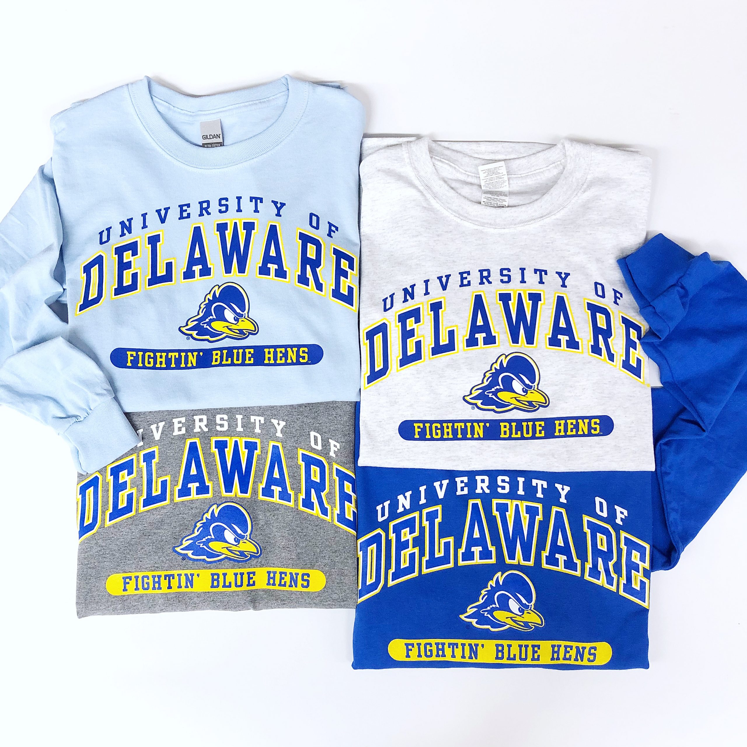 University of Delaware 3-Color Bird T-shirt – National 5 and 10