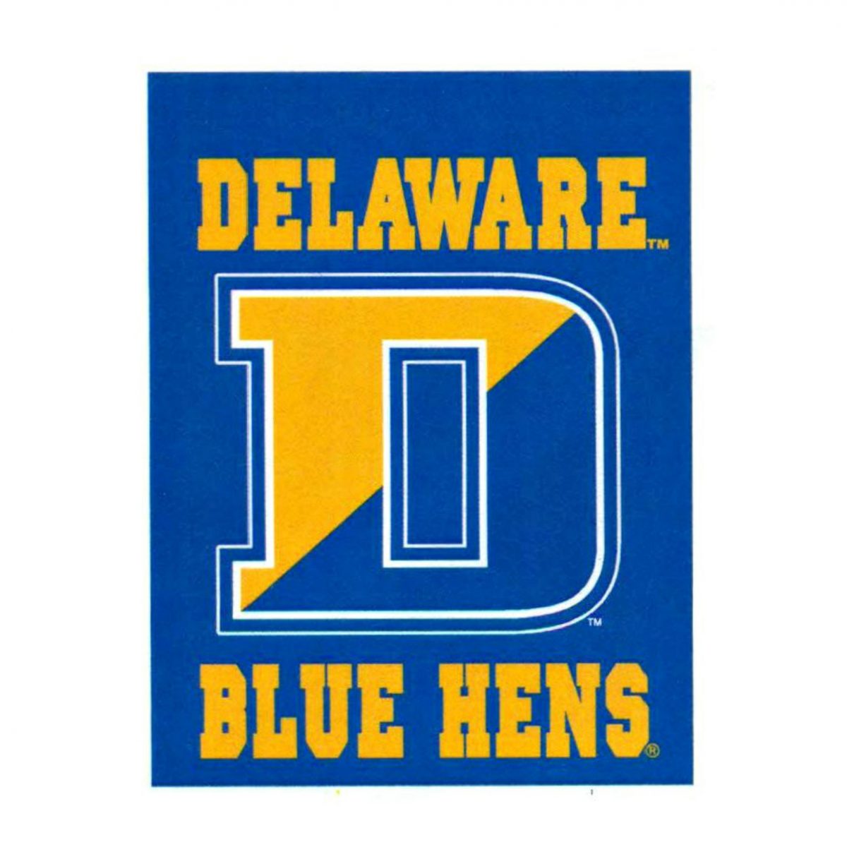 University of Delaware 30″ x 40″ Struttin’ YoUDee Banner – National 5 ...