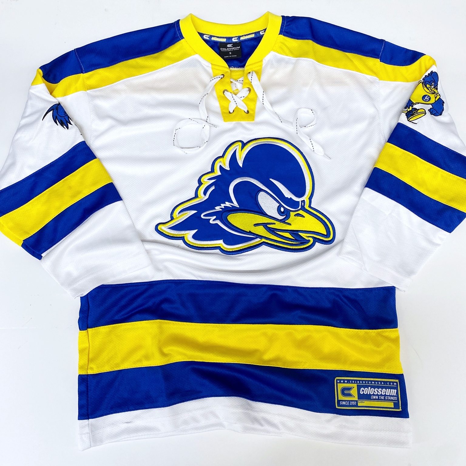 University of Delaware Ice Hockey Jersey – National 5 and 10