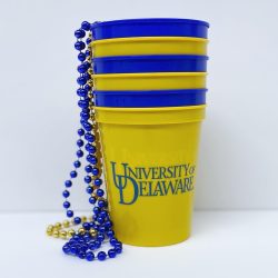 https://www.national5and10.com/wp-content/uploads/2018/03/University-of-Delaware-Stadium-Cups-6-250x250.jpg