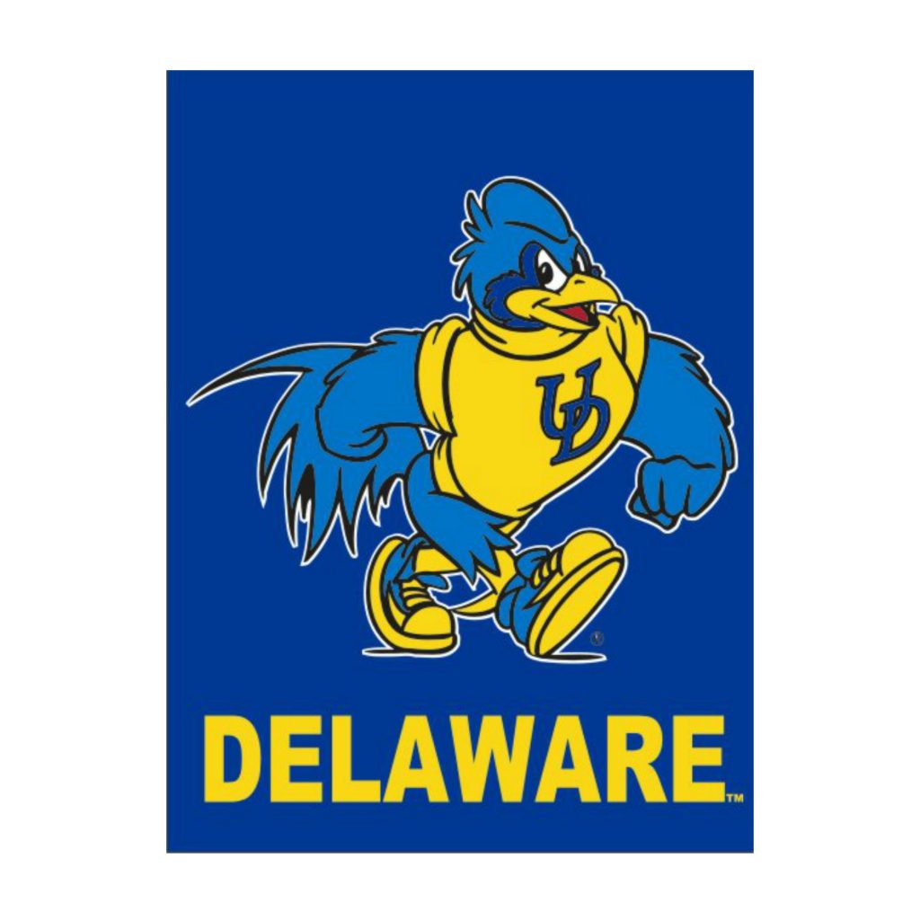 University of Delaware 30″ x 40″ Struttin’ YoUDee Banner – National 5 ...