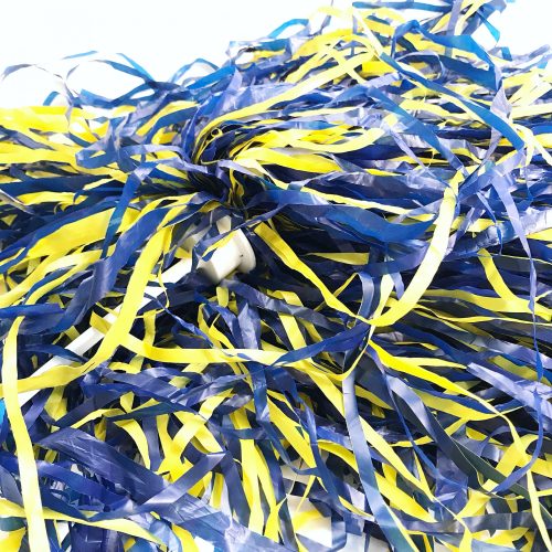 University of Delaware Blue and Yellow Spirit Pom-Pom – National 5 and 10