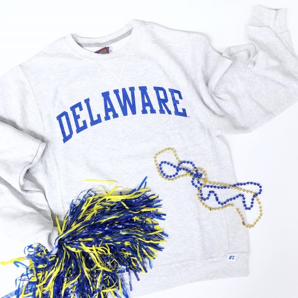 udel sweatshirt