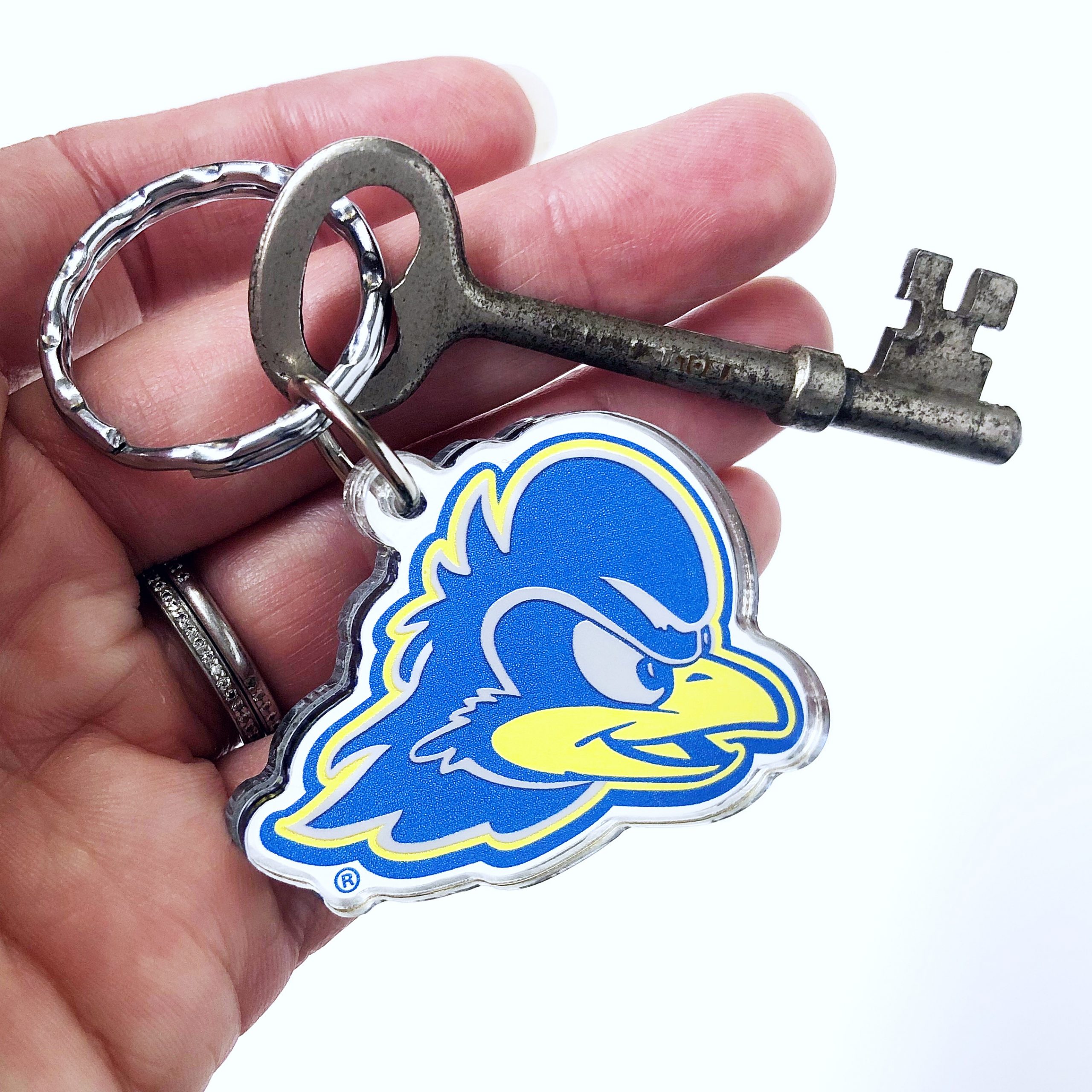 University of Delaware Carabiner Keychain