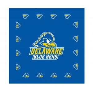 University of Delaware MV Pro Weave Blanket – National 5 and 10