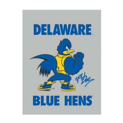 University of Delaware 12″ x 28″ Struttin’ YoUDee Pennant – National 5 ...