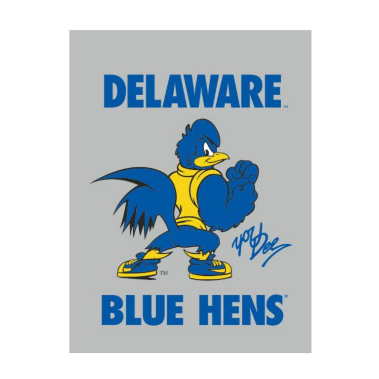 University of Delaware 30″ x 40″ Fightin’ YoUDee Banner – National 5 and 10