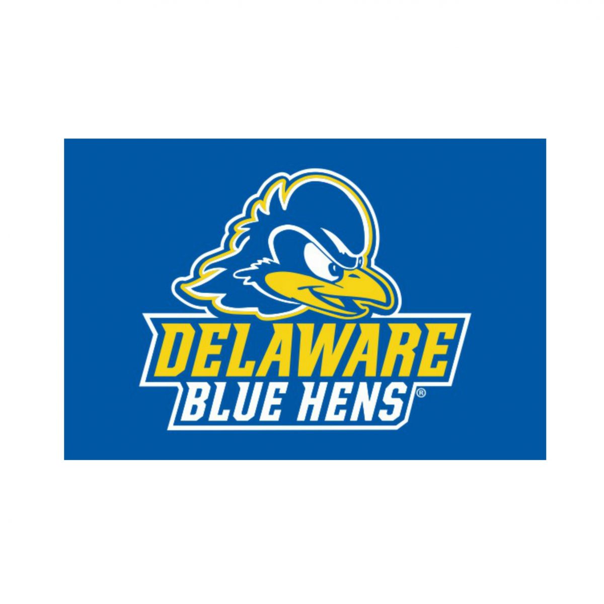 University of Delaware Stacked Athletic Logo Flag National 5 and 10