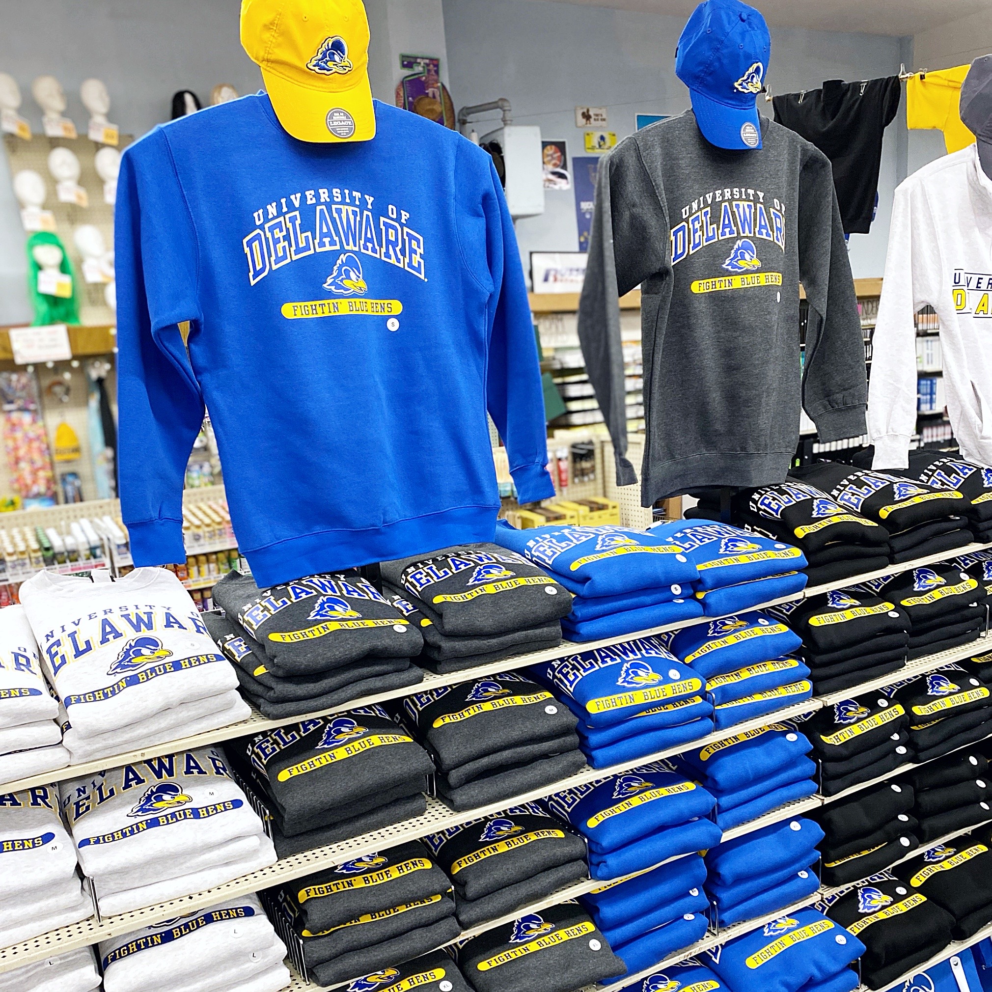  Delaware Crewneck Sweatshirt Sports College Style State Gift :  Sports & Outdoors