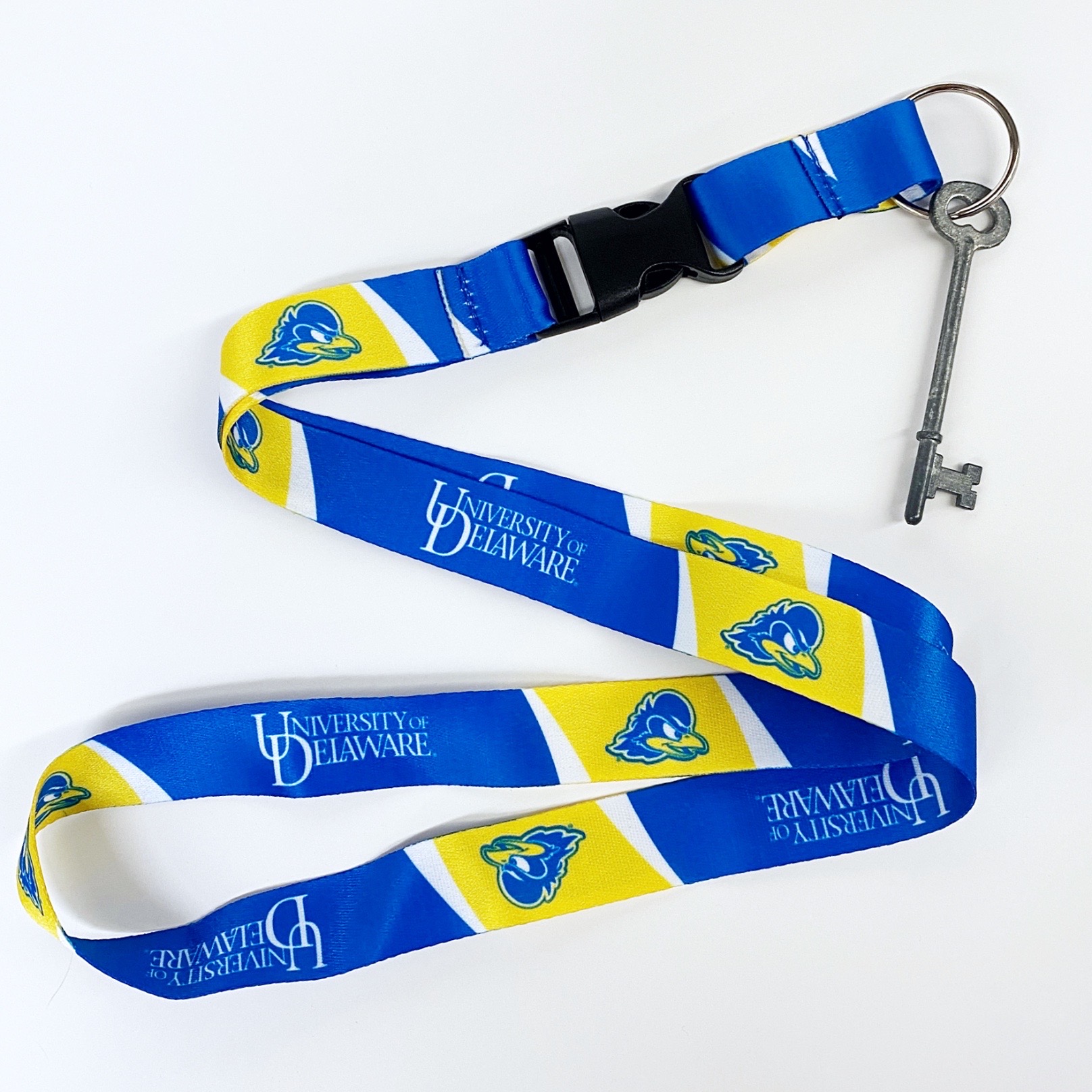 University of Delaware Carabiner Key Ring with Strap – National 5