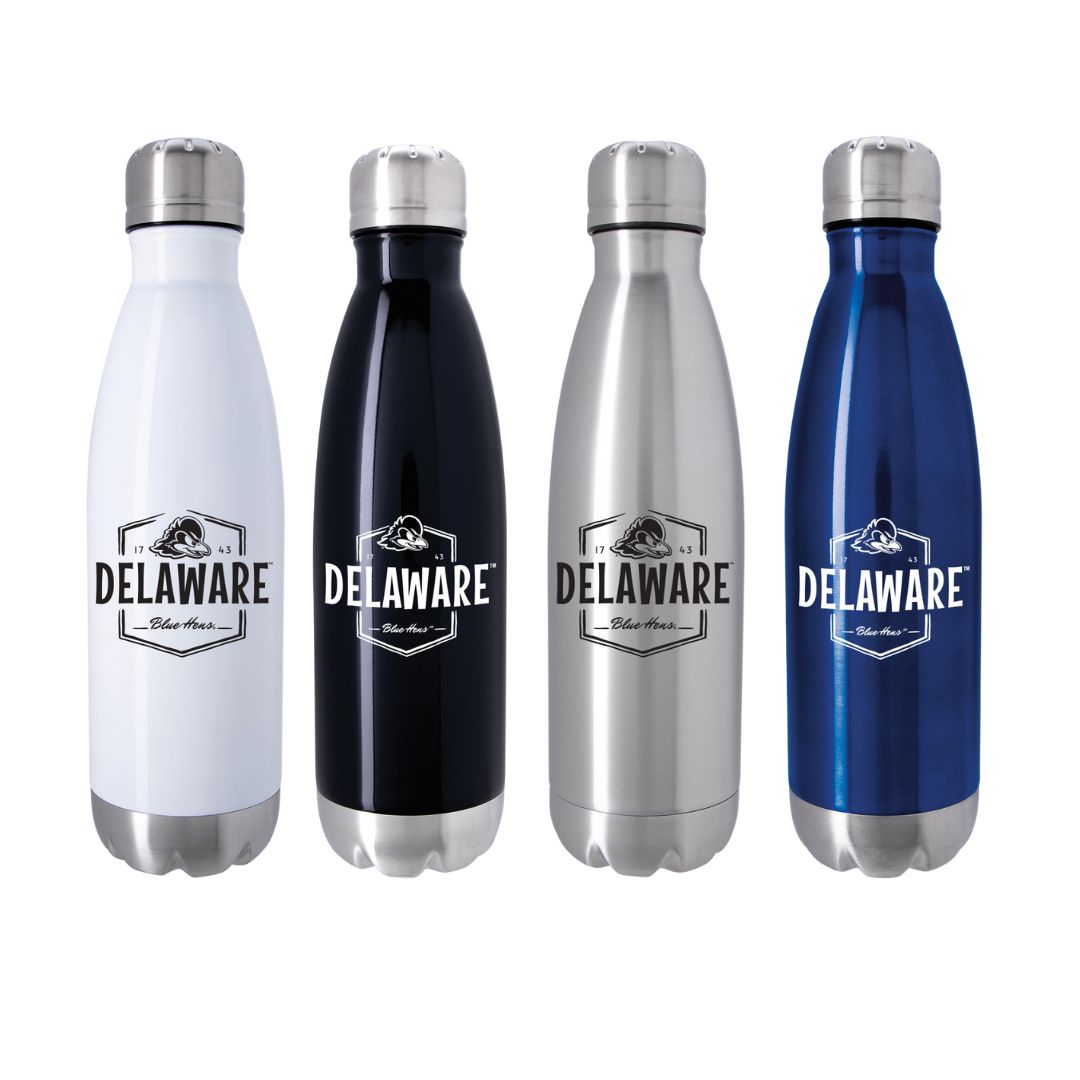 Stainless Steel Water Bottle: Insulated Water Bottles